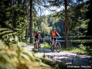 Holiday park St. Lorenzen ob Murau Environment 23