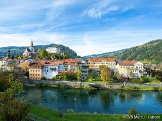 Vakantiepark St. Lorenzen ob Murau Omgeving 25