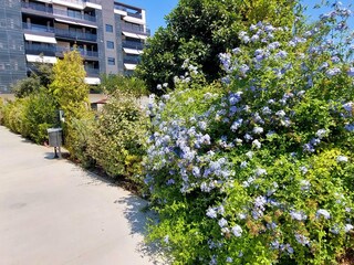 Appartement Villajoyosa Buitenaudio-opname 9