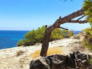 Appartamento Villajoyosa  35