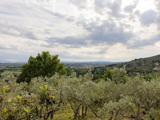 Ferienhaus Cortona Außenaufnahme 7