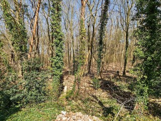 Vakantiehuis Erm Omgeving 26