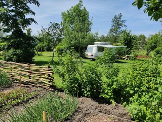 Ferienpark Munnekeburen Außenaufnahme 9