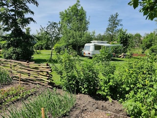 Holiday park Munnekeburen Outdoor Recording 9