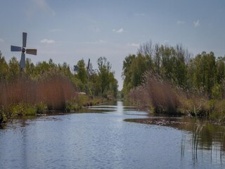 Parco vacanze Munnekeburen Ambiente 17