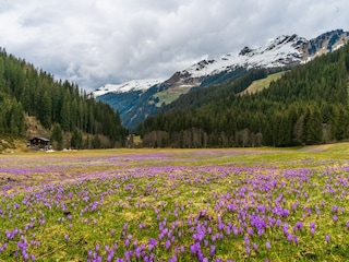 Appartement Fügen Omgeving 32