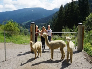 Apartamento Bodendorf  19