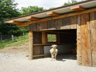 Appartamento Bodendorf  38