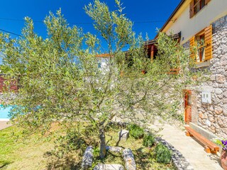 Villa Žestilac Registrazione all'aperto 10