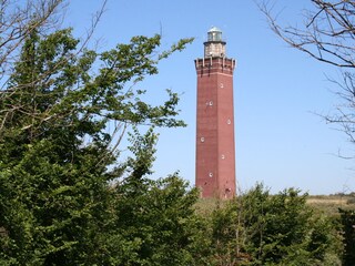 Ferienwohnung Ouddorp Umgebung 27