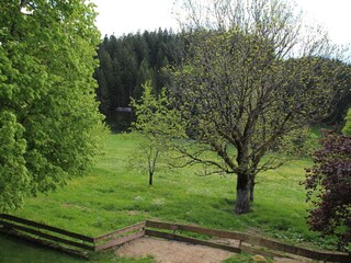 Blick vom Wohnzimmer