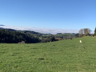 Ferienwohnung St. Märgen Umgebung 23