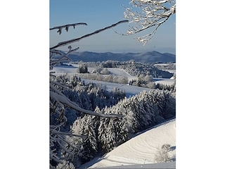 Ferienwohnung St. Märgen Außenaufnahme 13