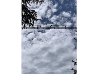 Hängebrücke Todtnau