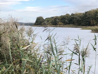 Malchiner See
