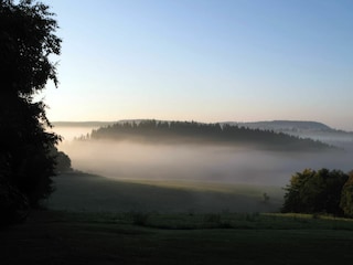 Morgennebel