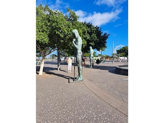 Plaza Espana Santa Cruz