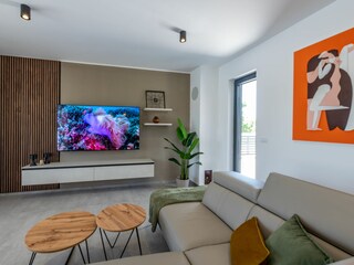 Villa Šišan Características 16