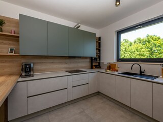 Villa Šišan Características 22