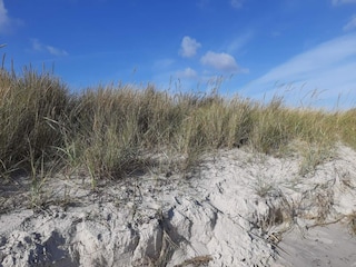 Vakantiehuis Als  21