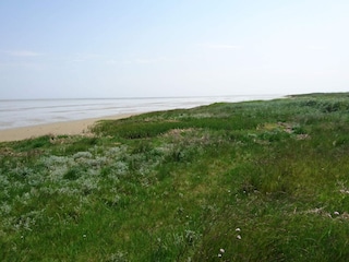 Holiday house Als  33