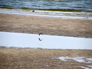 Holiday house Als  26