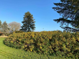 Holiday house Als  27