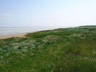 Vakantiehuis Als  35