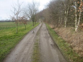 Holiday house Als  15