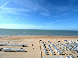 Apartment Knokke-Heist Umgebung 17