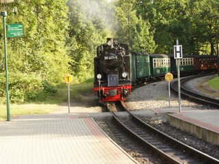 Ferienhaus Zirkow Umgebung 32