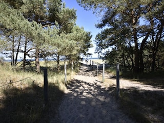 Maison de vacances Zirkow Environnement 39