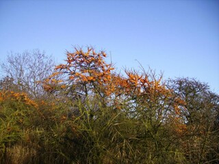 Apartamento Glowe  27