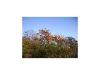 Appartamento Glowe  35