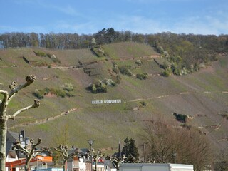 Casa de vacaciones Erden Entorno 35