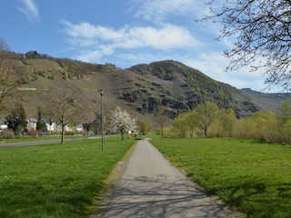 Ferienhaus Erden Umgebung 35