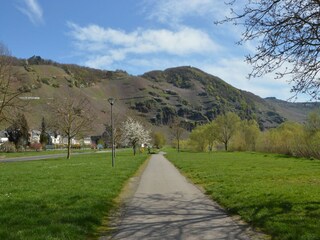 Vakantiehuis Erden Omgeving 36