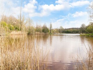 Vakantiehuis Hollandscheveld Omgeving 23