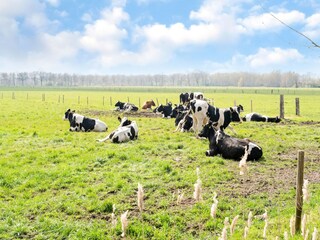 Vakantiehuis Hollandscheveld Omgeving 15