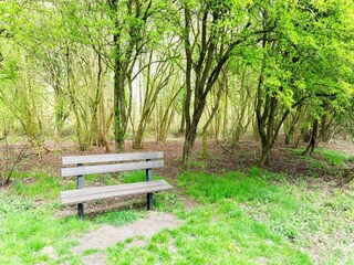 Casa per le vacanze Hollandscheveld Ambiente 17