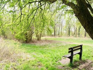 Maison de vacances Hollandscheveld Environnement 31