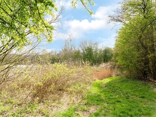 Holiday house Hollandscheveld Environment 19