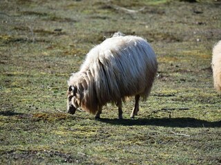 Casa per le vacanze Hollandscheveld Ambiente 32