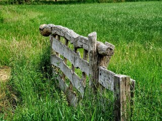 Maison de vacances Hollandscheveld Environnement 28