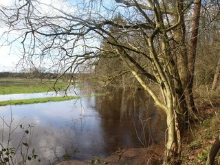 Ferienhaus Hollandscheveld Umgebung 34