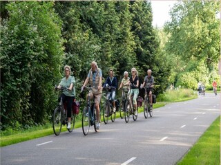 Maison de vacances Hollandscheveld Environnement 15