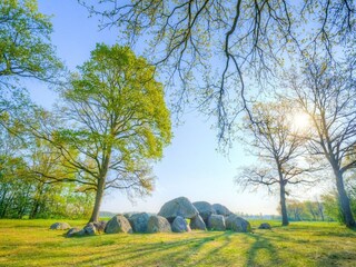 Maison de vacances Hollandscheveld Environnement 24