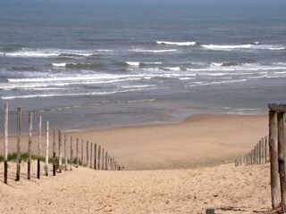 Vakantiepark Noordwijk Omgeving 21