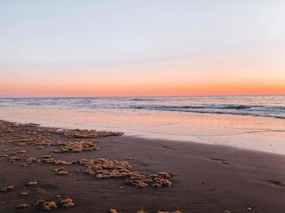 Holiday park Noordwijk Environment 22