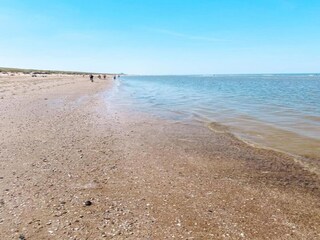 Vakantiepark Noordwijk Omgeving 25